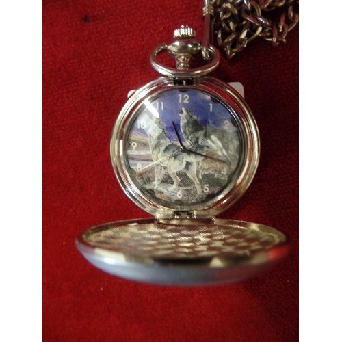 23 - A WOLF POCKET WATCH BY WESTMINSTER FULL HUNTER WITH FOB CHAIN WORKING