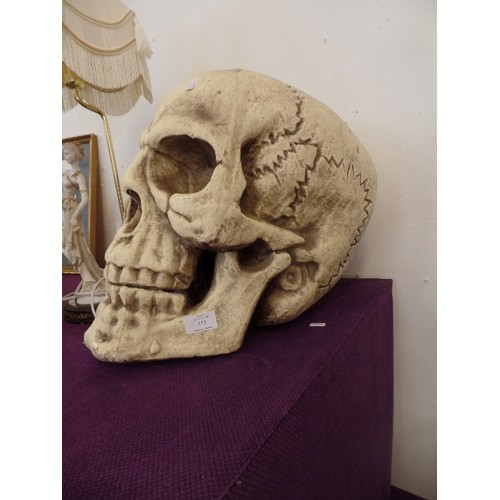 113 - LARGE SKULL. VERY REALISTIC DETAIL. POLYSTYRENE.