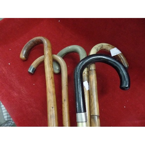 167 - 5 X VINTAGE WALKING STICKS. ONE HORN HANDLED, ONE WITH SILVER