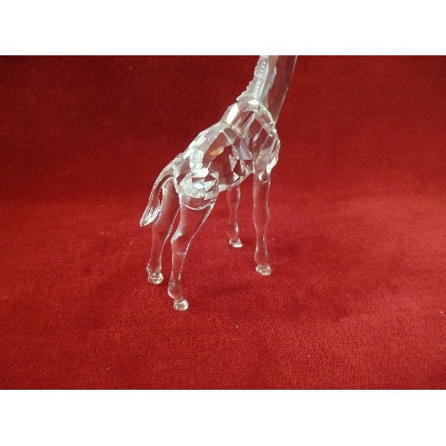 62 - Swarovski Silver Crystal
236717 GIRAFFE BABY, RETIRED 
From The African Wildlife Collection in prese... 