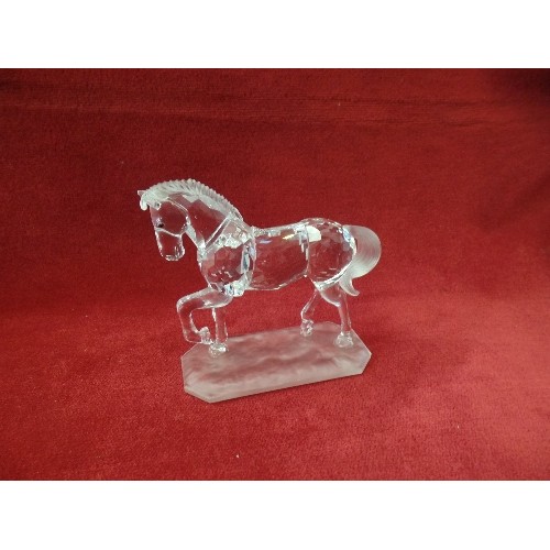 63 - Swarovski Crystal ARABIAN STALLION 221609 Horse Mint Rare Retired. 105 mm in presentation box