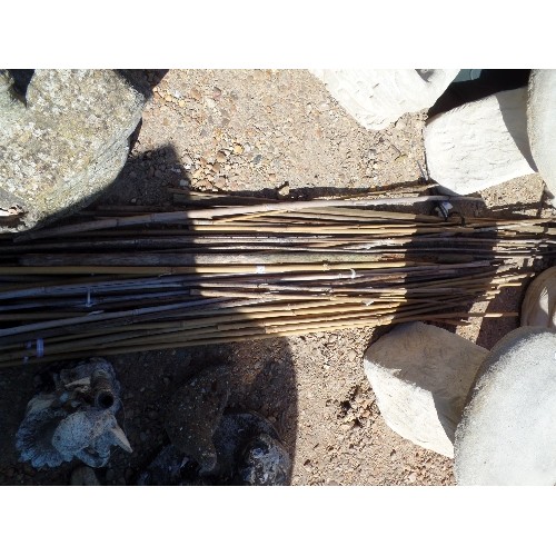 504 - QUANTITY OF BAMBOO GARDEN CANES.