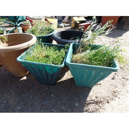 535 - 6 X PLASTIC GARDEN PLANTERS. TERRACOTTA COLOUR,  GREEN & BLACK.