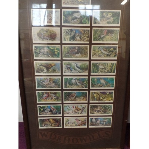 135 - WILL'S CIGARETTE CARDS, DISPLAYED IN 2 FRAMED/GLAZED WILL'S FRAMES. CLASSIC CARS, AND BIRDS.