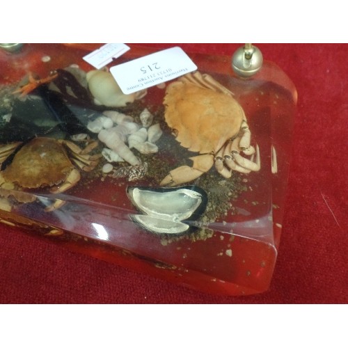 215 - RETRO PEN HOLDER, SHELLS AND CRABS IN A RESIN / LUCITE BLOCK.