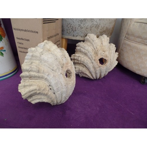 92 - 2 LARGE CONCRETE CLAM SHELLS - BIRD BATH TOPS/ORNAMENTAL