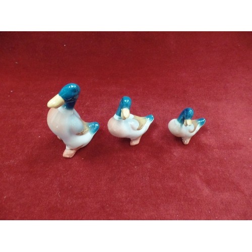 1 - THREE BESWICK DUCKS, THE LARGEST WITH PAPER LABEL - 10CM