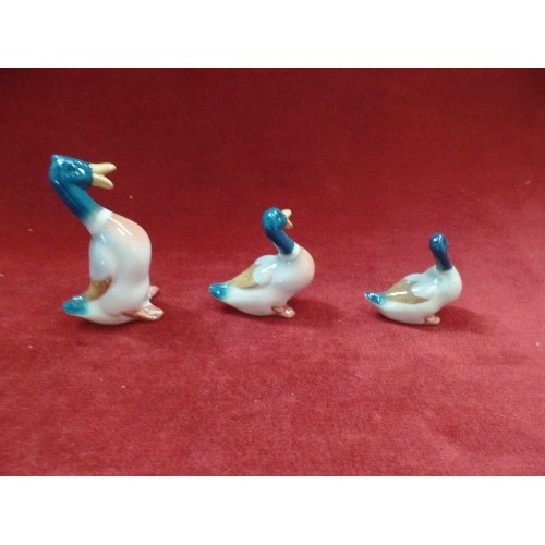 1 - THREE BESWICK DUCKS, THE LARGEST WITH PAPER LABEL - 10CM