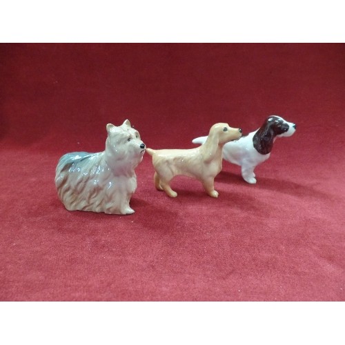 4 - 3 BESWICK DOG FIGURES, COCKER SPANIEL, SPRINGER SPANIEL AND A YORKSHIRE TERRIER - ALL WITH PRINTED M... 