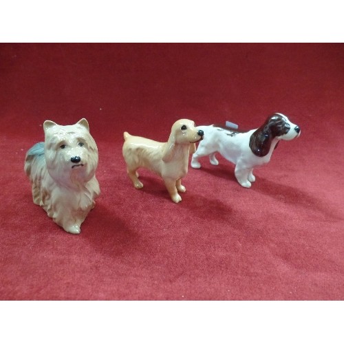 4 - 3 BESWICK DOG FIGURES, COCKER SPANIEL, SPRINGER SPANIEL AND A YORKSHIRE TERRIER - ALL WITH PRINTED M... 