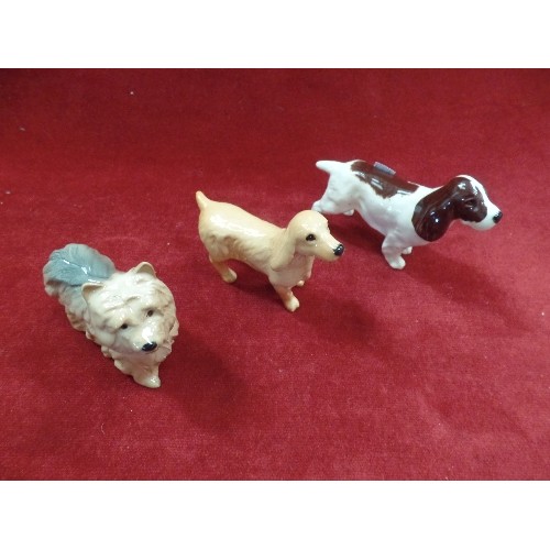 4 - 3 BESWICK DOG FIGURES, COCKER SPANIEL, SPRINGER SPANIEL AND A YORKSHIRE TERRIER - ALL WITH PRINTED M... 