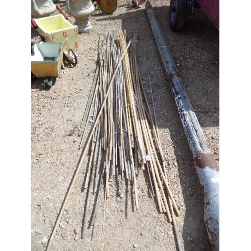 546 - QUANTITY OF BAMBOO CANES