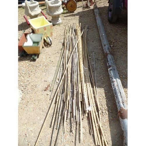 546 - QUANTITY OF BAMBOO CANES