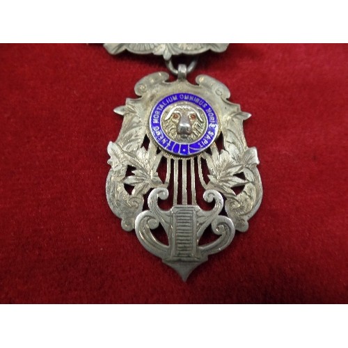 32 - A STERLING SILVER & ENAMELLED ROYAL ANTEDILUVIAN ORDER OF BUFFALOES MEDAL ON RIBBON -  MARKED 