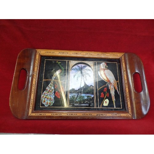 170 - A VINTAGE BRAZIL INLAID WOODEN BUTTERFLY WING TRAY