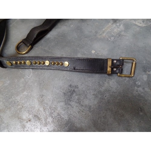 297 - A RARE EARLY 20TH CENTURY STUDDED DOG HARNESS STRAP WITH A BULLDOG OR SIMILAR BREED STUD