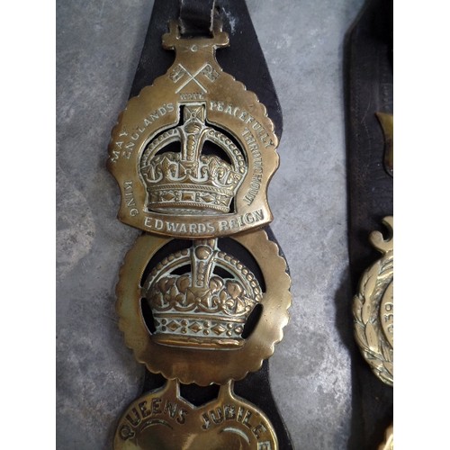 323 - TWO HARNESS STRAPS WITH ROYALTY AND COMMEMORATIVE BRASSES. INCLUDES QUEEN VICTORIA JUBILEE 1887, VER... 