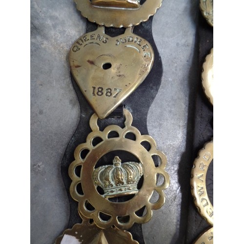 323 - TWO HARNESS STRAPS WITH ROYALTY AND COMMEMORATIVE BRASSES. INCLUDES QUEEN VICTORIA JUBILEE 1887, VER... 