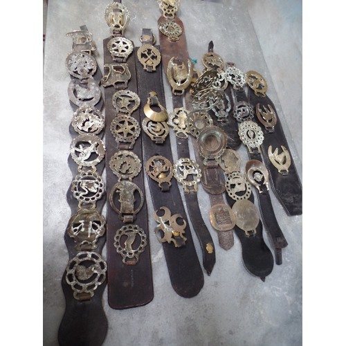 325 - 10 MARTINGALE HARNESS STRAPS WITH MOSTLY 20TH CENTURY BRASSES - INCLUDES ALICE ELEPHANT, 3 JERSEY SO... 