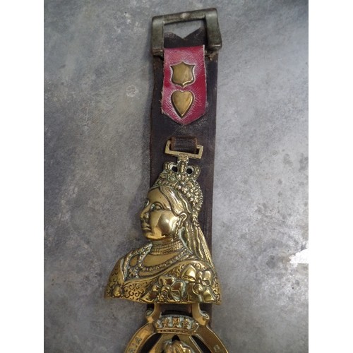 341 - 6 VERY GOOD ROYALTY HORSE BRASSES ON A LEATHER STRAP. INCLUDES A RARE QUEEN VICTORIA CAST BUST, A GO... 