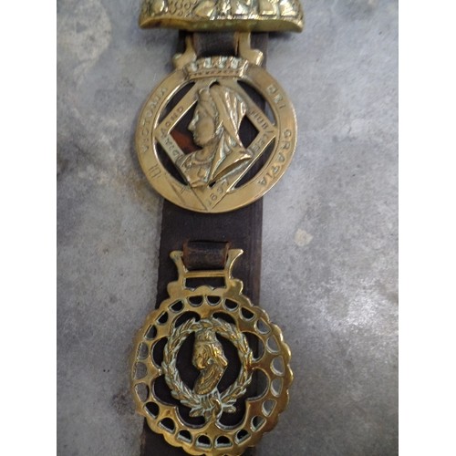 341 - 6 VERY GOOD ROYALTY HORSE BRASSES ON A LEATHER STRAP. INCLUDES A RARE QUEEN VICTORIA CAST BUST, A GO... 