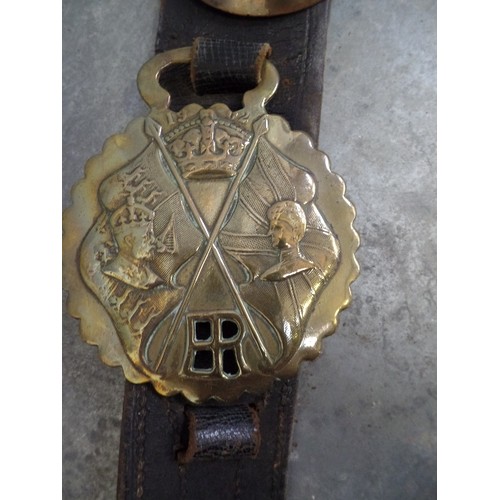 341 - 6 VERY GOOD ROYALTY HORSE BRASSES ON A LEATHER STRAP. INCLUDES A RARE QUEEN VICTORIA CAST BUST, A GO... 