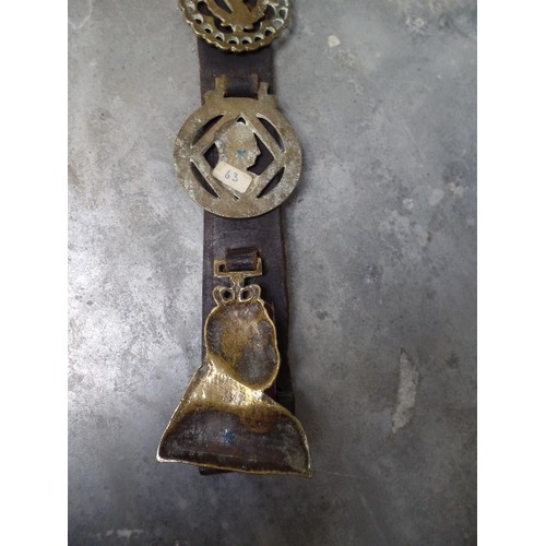 341 - 6 VERY GOOD ROYALTY HORSE BRASSES ON A LEATHER STRAP. INCLUDES A RARE QUEEN VICTORIA CAST BUST, A GO... 