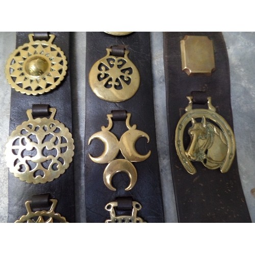 345 - 3 LARGE HARNESS STRAPS WITH VICTORIAN AND EARLY 20TH CENTURY BRASSES. INCLUDES A STRAP WITH 3 STAMPE... 