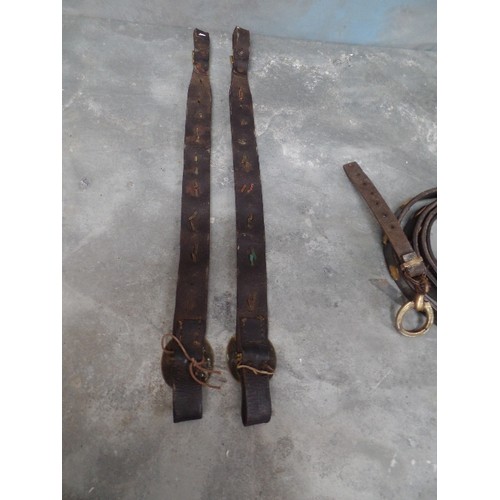 377 - FOUR ANTIQUE BRASS STUDDED HARNESS STRAPS INCLUDING A PAIR WITH OVAL BUCKLES, A SKILFULY MADE LONG S... 