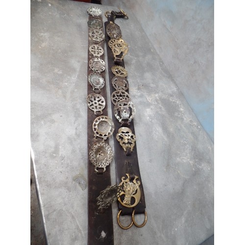 383 - VINTAGE LEATHER DISPLAY STRAP WITH 10 GOOD VICTORIAN BRASSES - CAST AND STAMPED. INCLUDES 1867 BRASS... 