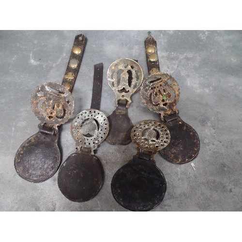 389 - NICE PAIR OF ORIGINAL FACE PIECE STUDDED STRAPS WITH  QUEEN VICTORIA CROWN STAMPED HORSE BRASSES. (O... 