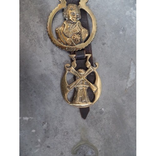 393 - AN ANTIQUE LEATHER STRAP WITH SOME UNUSUAL HORSE BRASSES 19TH & 20TH CENTURIES. INCLUDING WILLIAM GL... 