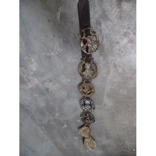 393 - AN ANTIQUE LEATHER STRAP WITH SOME UNUSUAL HORSE BRASSES 19TH & 20TH CENTURIES. INCLUDING WILLIAM GL... 