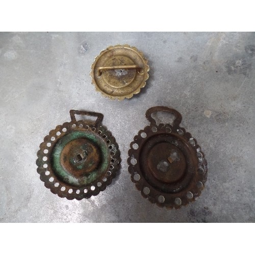 443 - TWO ANTIQUE COBALT BLUE POT CENTRED HORSE BRASSES AND A COBALT BLUE POT BRIDLE ROSETTE