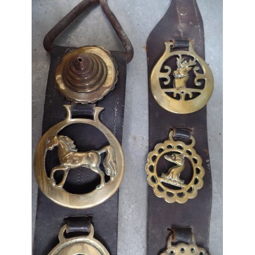 445 - TWO LONG LEATHER DISPLAY STRAPS, ONE WITH EIGHT CAST HORSE THEMED BRASSES AND THE OTHER WITH NINE CA... 