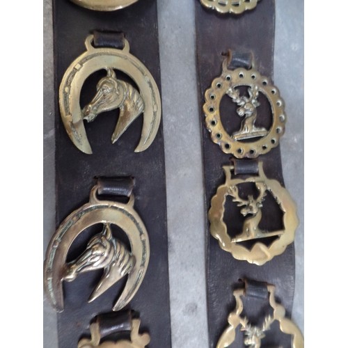 445 - TWO LONG LEATHER DISPLAY STRAPS, ONE WITH EIGHT CAST HORSE THEMED BRASSES AND THE OTHER WITH NINE CA... 