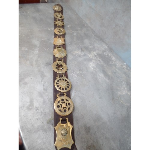 449 - A LEATHER STRAP WITH 10 NATIONAL HORSE BRASS SOCIETY ANNUAL BRASSES CONSECUTIVE YEARS FROM 1975 TO 1... 