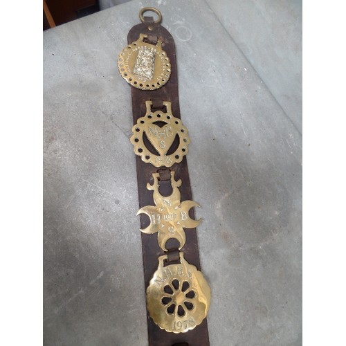 449 - A LEATHER STRAP WITH 10 NATIONAL HORSE BRASS SOCIETY ANNUAL BRASSES CONSECUTIVE YEARS FROM 1975 TO 1... 