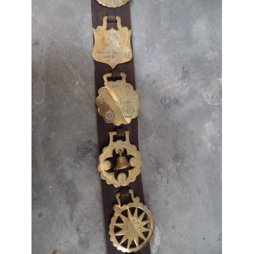 449 - A LEATHER STRAP WITH 10 NATIONAL HORSE BRASS SOCIETY ANNUAL BRASSES CONSECUTIVE YEARS FROM 1975 TO 1... 