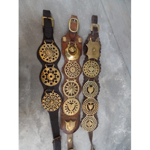 451 - THREE ANTIQUE MARTINGALES WITH SOME 19TH CENTURY BRASSES. INCLUDES A HANDSOME BROWN LEATHER STRAP WI... 