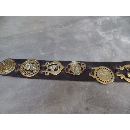 364 - A LEATHER STRAP WITH HERALDIC LION BRASSES 19TH & 20TH CENTURY. INCLUDES TWO VERY GOOD VICTORIAN CAS... 