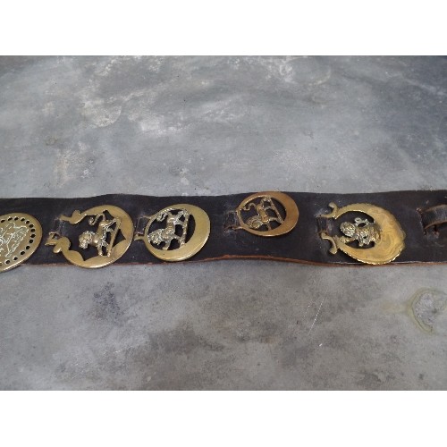 364 - A LEATHER STRAP WITH HERALDIC LION BRASSES 19TH & 20TH CENTURY. INCLUDES TWO VERY GOOD VICTORIAN CAS... 