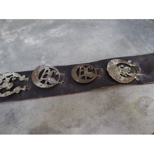 364 - A LEATHER STRAP WITH HERALDIC LION BRASSES 19TH & 20TH CENTURY. INCLUDES TWO VERY GOOD VICTORIAN CAS... 