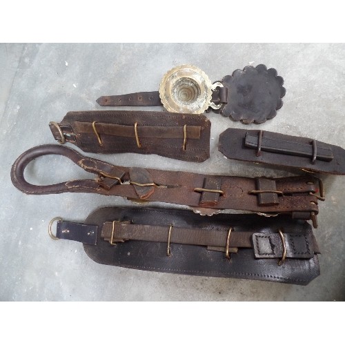 365 - GOOD SELECTION OF 19TH CENTURY BRIDLE ROSETTES ON FIVE LEATHER STRAPS INCLUDING BEEHIVES, AND A PAIR... 