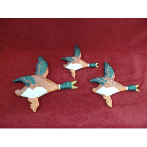 82 - 3 CERAMIC GRADUATED WALL DUCKS,  BY INTO DESIGN, BRIGHTON, ENGLAND  (WING TIP MISSING ON MIDDLE  ONE... 