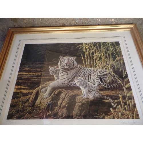 362 - 3 X SIGNED LIMITED EDITION ART-PRINTS OF BIG CATS, BY STEPHEN GAYFORD. GILT FRAMED/GLAZED. & ANOTHER... 