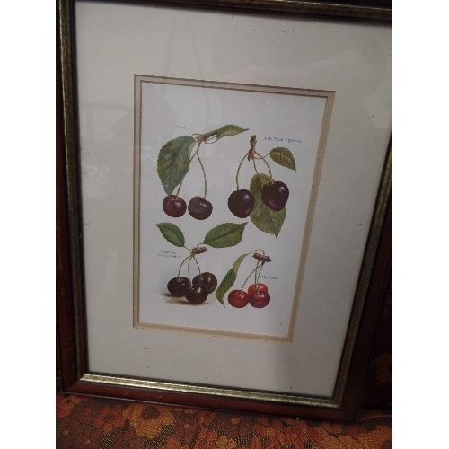 216 - A FRAMED/GLAZED WATERCOLOUR OF A VILLAGE CHURCH GATE SCENE, 2 X FRUIT PRINTS, AND A CONTEMPORARY FLO... 