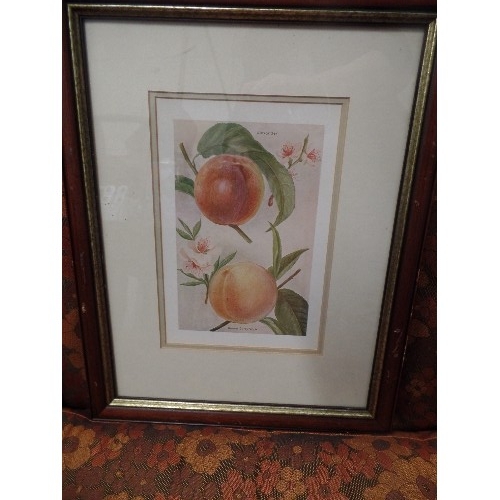 216 - A FRAMED/GLAZED WATERCOLOUR OF A VILLAGE CHURCH GATE SCENE, 2 X FRUIT PRINTS, AND A CONTEMPORARY FLO... 