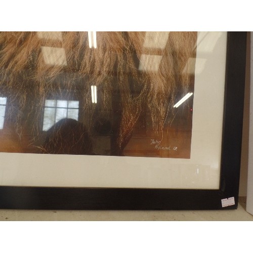 70 - BEAUTIFUL IMAGE OF A LION. LARGE FRAMED/GLAZED PRINT SIGNED 'JOHN HYLAND 12'