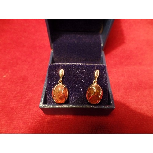 66 - PAIR OF 9CT GOLD EARRINGS ENCASING OVAL AMBER DROPS